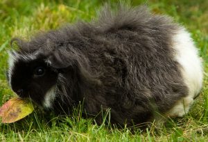 Underbara Amy, älskar utelivet här i Bohus.